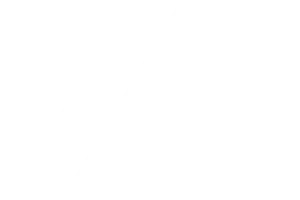 spitzenberger-signet-weiss